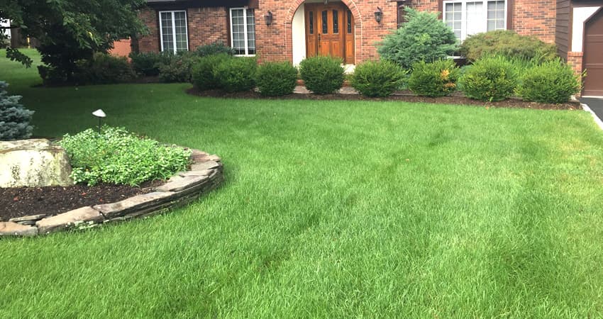 The Mahon Landscaping team gathered together